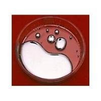 Iˮy tԺUˮyՃr ُ̎˾