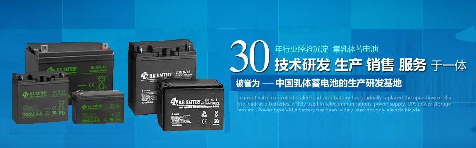 F؛B.B.BATTE늳BPS8-6V/6V8AHr