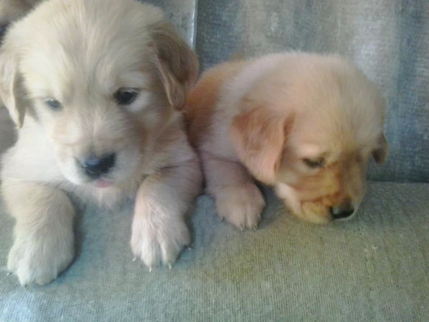 ëȮxҎ(gu)(sh)wȮᣬVݽëȮ֮