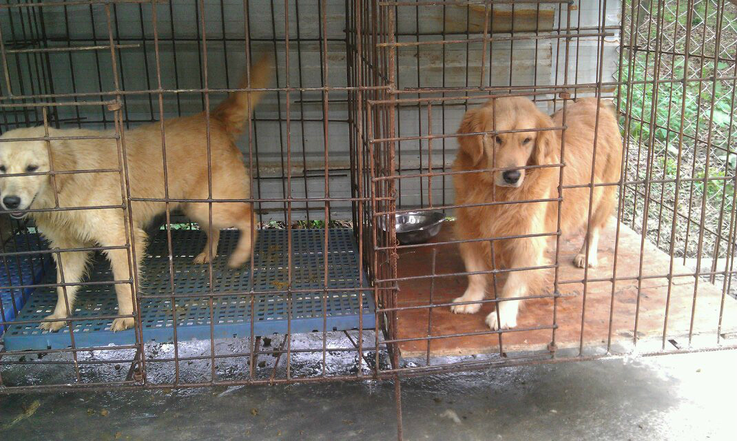 VݽëȮ֮ң\ŽIۺһl