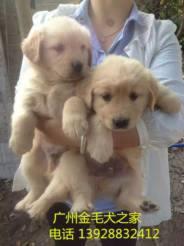 hийëVݽëȮ֮ң