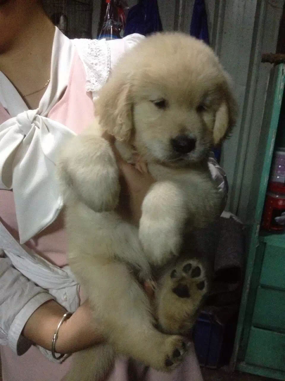 Vݷخ^خ^ͽëȮخ^VݽëȮ֮