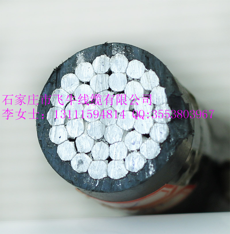 SֱNߵ͉|/ܿվ/оXgJKLYJ-70