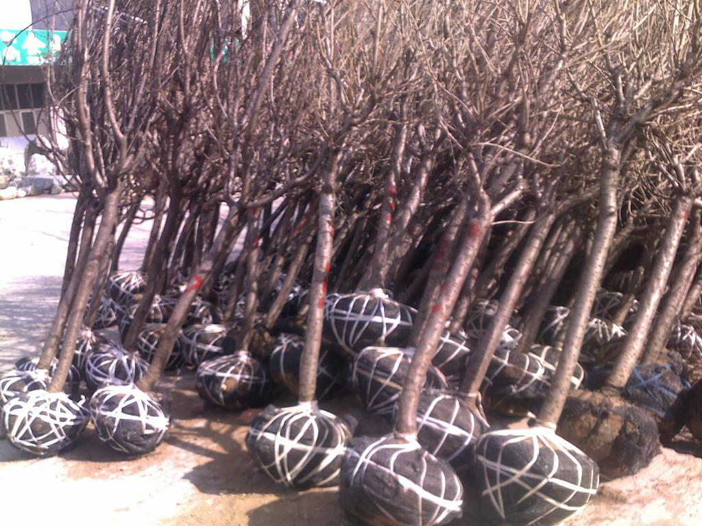 5֙ѻ硢5֙ѻXһá5֙ѻr