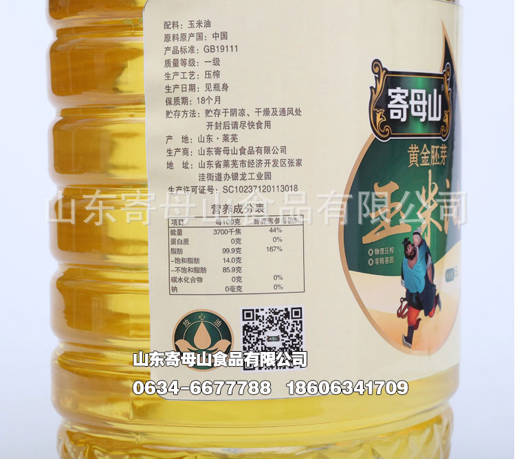 ɽ|ĸɽʳ͌(du)Nƴӹ