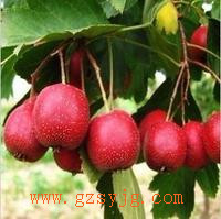 LED Ҙ ҃ȷҘ lr ƿ͏d ط