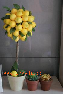 ľϘҘl ľϘ֦ ٹ ľϘ֦Ҙ O