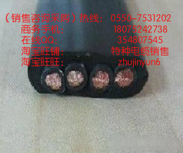 ؙC| YVFB 3*6+1*4mm2 Ia |C