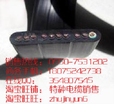 | YVFB 3*25+1*16mm2  ʡ(bio)|