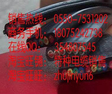 Ͳñ| YFFB 3*4+1*2.5mm2  IaS