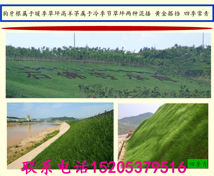 ʡυ^(q)o²ݷNʲô(ji)N