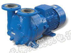 {ķ T ٥{ʿ NASH 2BV5 121-OKCҺhձ ˮh