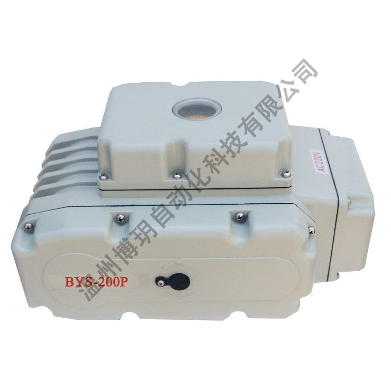 BYS-100С늄ӈl-С늄ӈS-hƼ