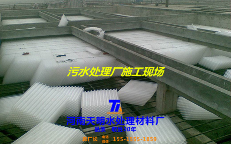 f(wn)օ^(q)CббNۏS