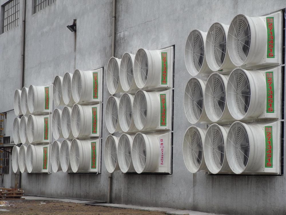 (zhn)SͨL(fng)O(sh)䰲bSԒ(bo)r(ji)