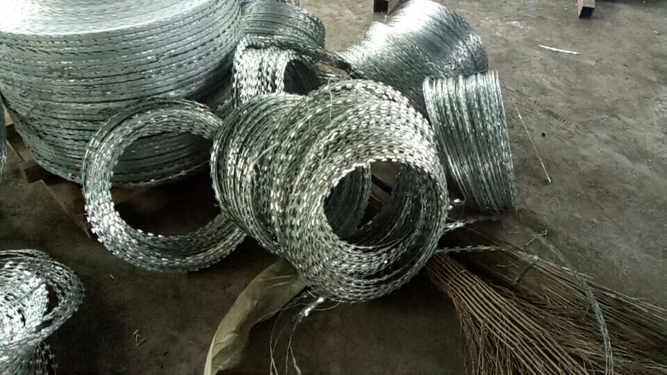 ½ľR̾WaS/½ʢƷ޹˾