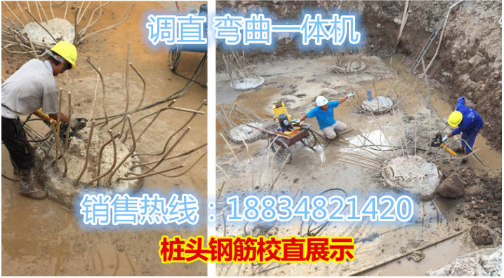 ɹŞm첼ݼyҺۏC̖Ҏ