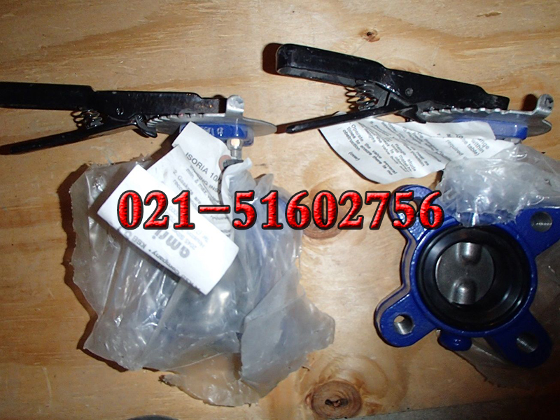 ISORIA10քӵyAMRIքrzy