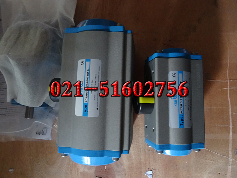 F؛KSB ACTAIR C2 F03/F05 DD11ӈ