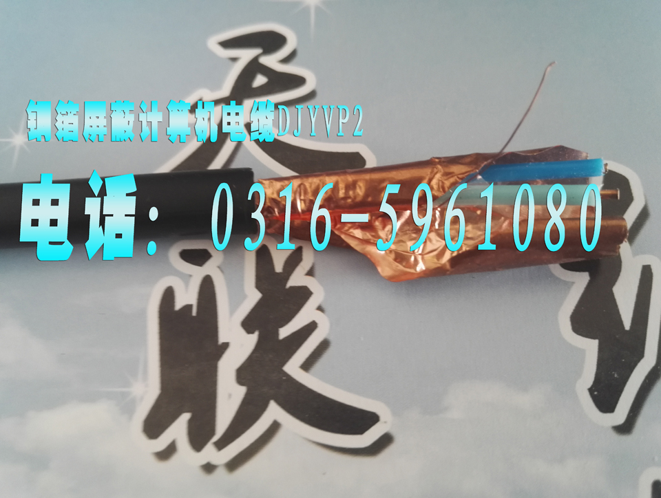 DJYPVP-ӋC|DJYVP DJYPV