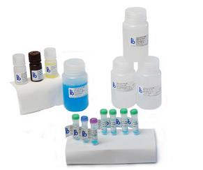 ԭbMڼELISAԇЏS-yELISAԇй˾-ԇ