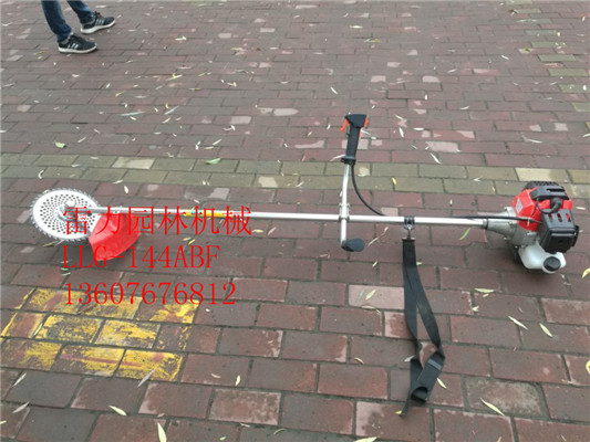 pʽݙC DƬ yʽݙC r ʹf