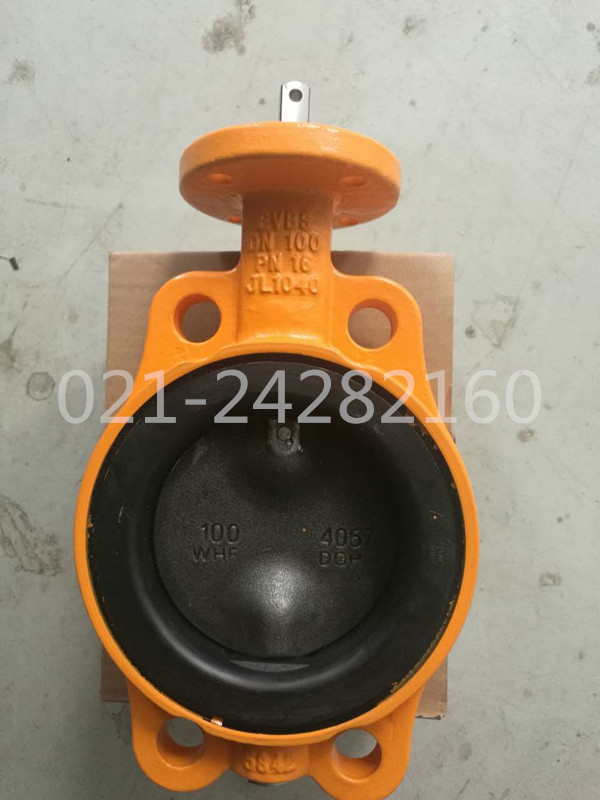 mWouter WitzelyϺ¿yTN