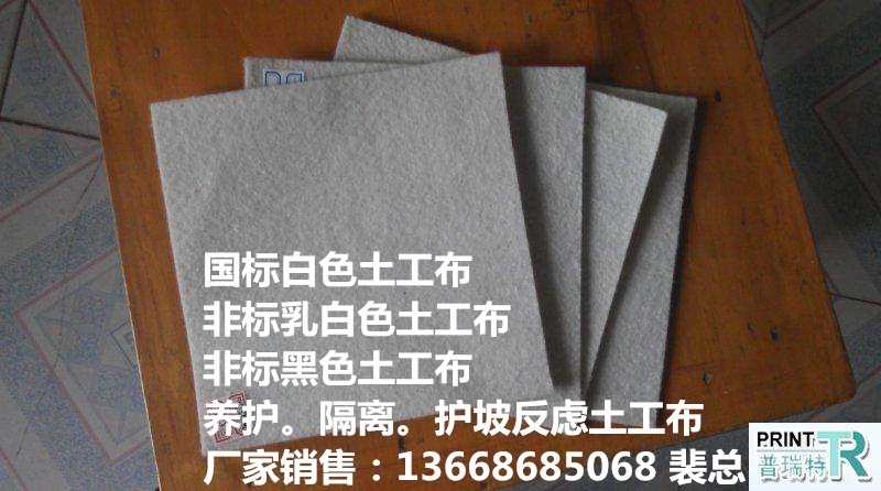 ТPEĤSҴ%(ni)NТ[޹˾]gӭ