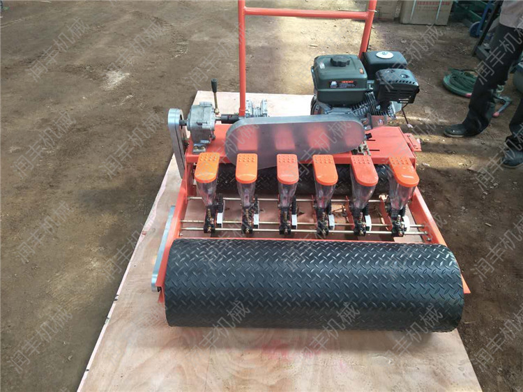 Сp㲥NC N߲˲NC \{NC