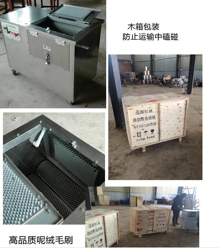 ȫԄӚ~Cȥ~[C _ȥ~[CS_ȥ~[CS