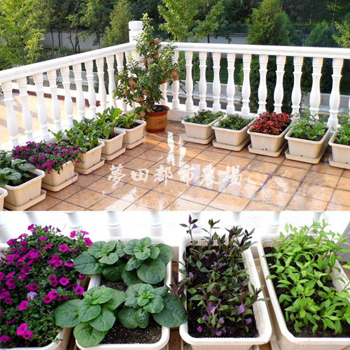 Ĵɶͥ_ˈ@rOӋ]жSﶼr