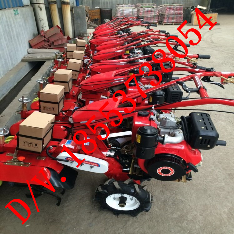 r(nng)ַʽ๦@C(j) L(fng)С`ײ