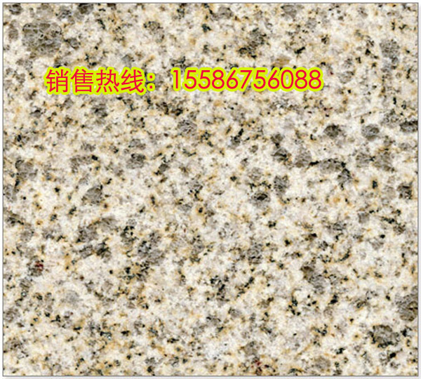 vRIS  ·ʯ SʯďS(bo)r(ji)