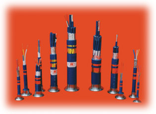 CJV92/DA CJV/SA CJV80/SA ȼ|˜