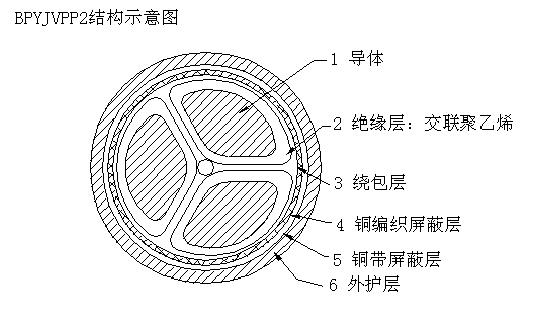 BPYJVTP2-CH BPYJVP12-CH ׃l|