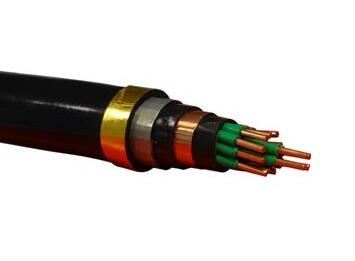 NH-KVVP2-22 NH-KVV22 zbͻ|S