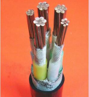 FS-YJV,FS-YJY FS-YJV22 ˮ|