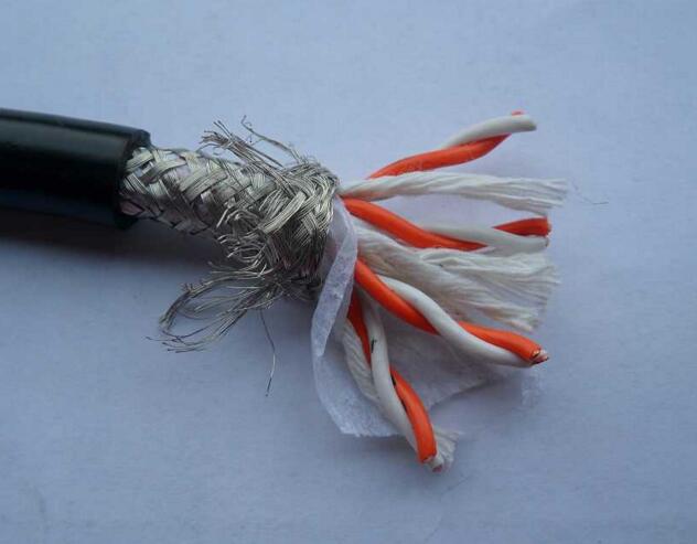 ATGTNS-FYS ATGTGS ATKFTGSMP طN|