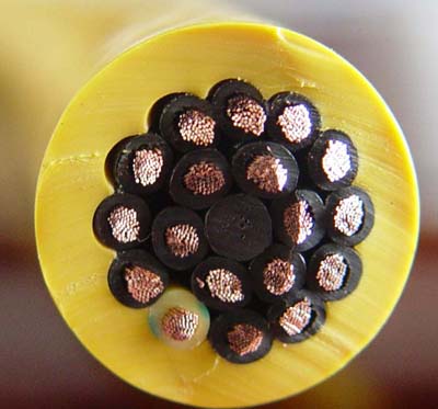 WB -TRVV WB -TRVVP ͏ܛ|˜