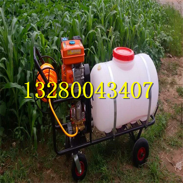 Lʹˎ܇     rlƴˎ܇    ̈́ˎ܇