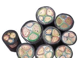 MYJV~о|3*10+1mm2V| ƽr