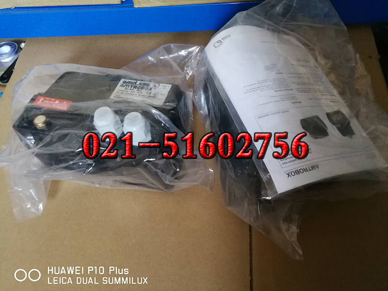 KSB R1141ӍAMTRONIC RA1141