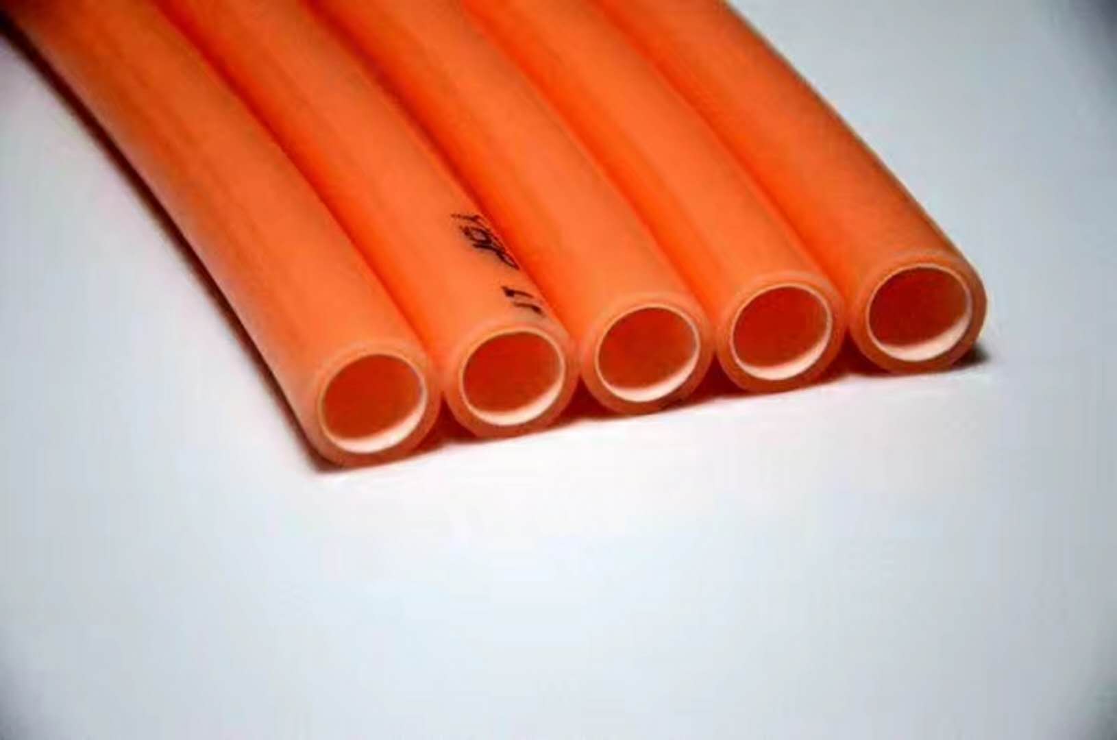 MYBPůb20 16 ĴɶůƷưb