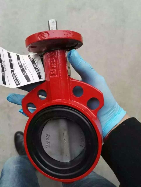 BRAY S36ϵдڏpmʽ(dng)y (gu)Bray׹S