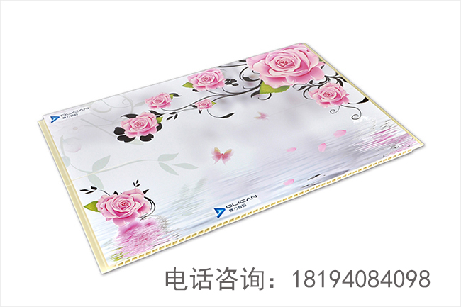 XܰӡC(j) pvcӡC(j) ڶuvLC(j) SֱN