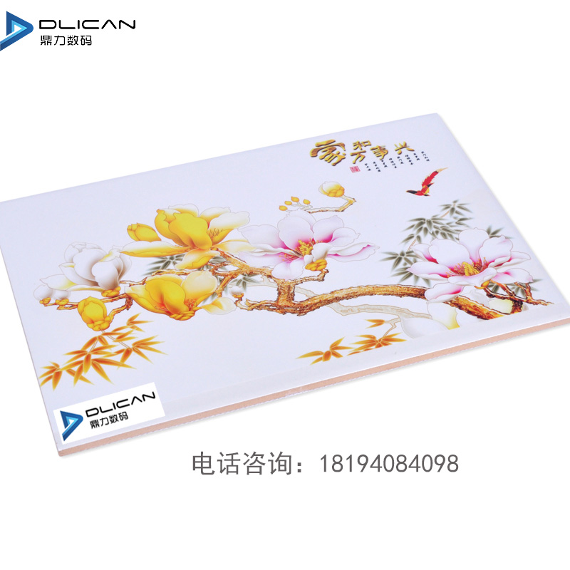 ɴuӡC 3DɴuӡC SֱN