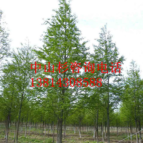 oa4ɽɼSx_(d)@ˇN_I(y)Nֲ