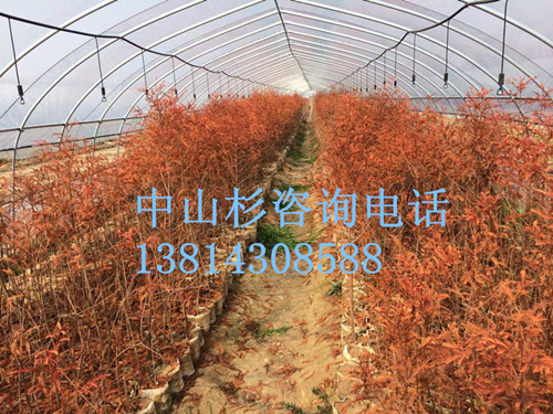 18ɽɼSx_@ˇN_I(y)Nֲ