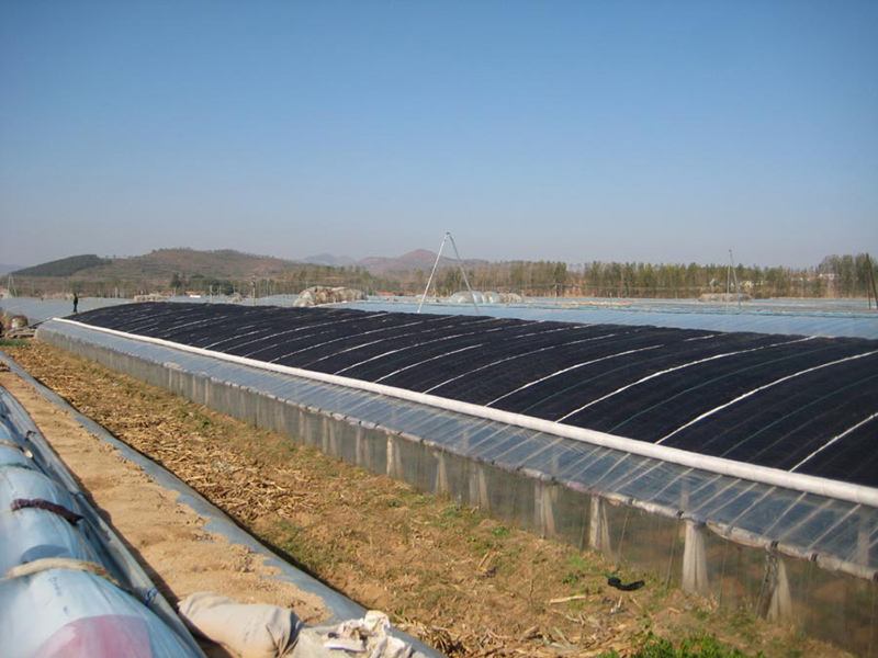 꼾|ˮر(yng)ԓνwأ