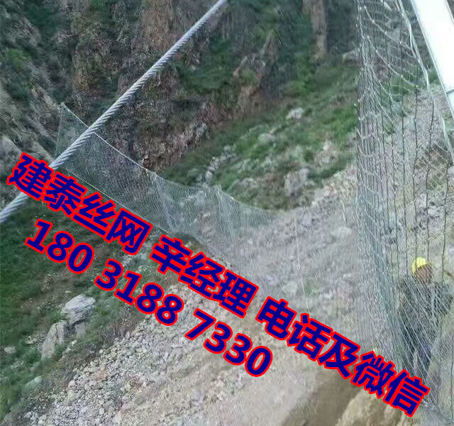 rxi-100(dng)߅·o(h)W(wng)